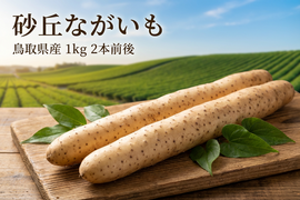 砂丘の恵み！鳥取砂丘“とろける”ながいも 1kg（2本前後）