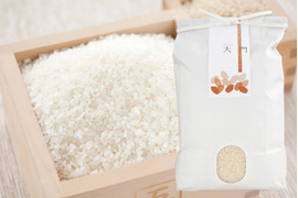【紙包装5kg】R5年産農薬不使用・化学肥料不使用米「コシヒカリ」5,000g