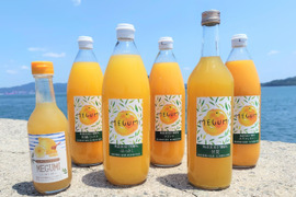 【農薬不使用栽培】柑橘ジュース5種類＋レモンシロップ飲み比べセット （無添加果汁100％）