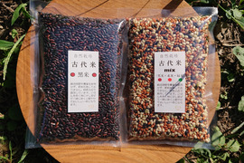 500ｇ×2　自然栽培　古代米　黒米＆3種ミックスセット