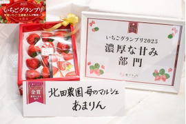 【先行予約・数量限定】いちご博2025金賞受賞 大粒あまりん9～18粒 贈答用