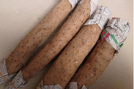 長野県産冬堀り長芋収穫しました。約５㎏入り/甘味と粘り良しですよ。長芋レシピ商品説明に色々記載してますのでご参考になさって下さいませ。※日持ちします。