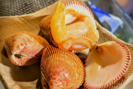 【幻の高級貝】天然 金とり貝 100〜160g
超特大サイズ｜肉厚・濃厚な甘み｜寿司屋品質をご自宅で！1キロ