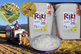 【女性に人気】【分づき米】2Kg×2袋「あま～い」　「Riki-Saku」コシヒカリ　真空パック　白米と同じように炊けます。白米に近い約「7分づき」分づき米。