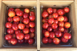【佐藤錦】さくらんぼ 山形県東根産 1kg L.2L 秀・特秀品 バラ詰め