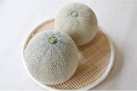 青肉と赤肉のメロン食べ比べセット