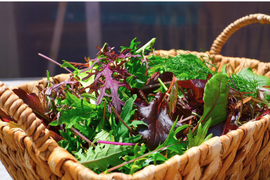 違いはわかります！G20サミット採用サラダ！10種のヨーロピアンリーフミックス【簡易包装500g×3p】▲月・火・水・木着専用▲