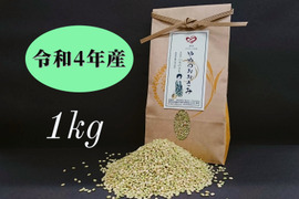 【希少種】古代米 ひめみどり「緑米」ぷちっと甘みはじける！農薬不使用　玄米１㎏