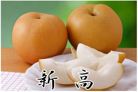 新高 梨 7-8個 愛媛県産 新高梨 ナシ なし