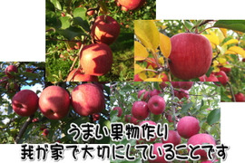 樹上完熟　サンふじ
（3キロ　家庭用）