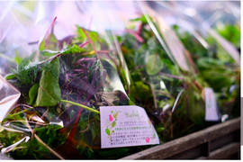 違いはわかります！G20サミット採用サラダ！10種のヨーロピアンリーフミックス【100gパック×15p】★金・土・日着専用★