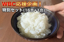 【WBC応援企画】〒016-0017大谷姓90%の「栗山」からお届けする特別米（16合＋1合＝17合）あきたこまち2.55kg ギフト/熨斗対応！