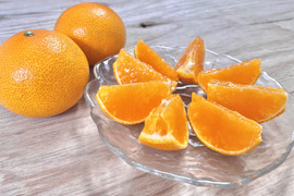 希少品種！愛媛県産『やみつきプリンセス』（ご家庭用・2kg）