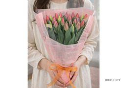 ラッピングチューリップ　20本束（花色おまかせ）　　※北海道・沖縄県配送不可※