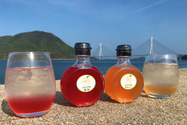 【無添加・農薬・化学肥料等不使用栽培】コーディアルシロップ　ブラッドオレンジ飲み比べ（タロッコとモロ）　150ml×2本