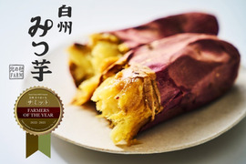 【6月14日発送】日本さつまいもサミット Farmers of the year2022-2023に選定、2年連続野菜ソムリエサミット金賞受賞！白州みつ芋の焼き芋セット（約5袋入り）