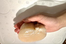 日間賀島産【天然 平貝（タイラギ）】
春が旬，びっくりサイズ、超特大！
貝柱，貝紐，玉｜刺身用・寿司ネタ・高級貝・産地直送|下処理済発送‼︎4枚