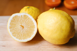 種がないレモン箱込約5㌔　1,000箱以上売れるレモン