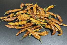 【乾燥唐辛子】日本古来からの辛さ！黄金唐辛子（総量20g）農薬・化学肥料不使用
