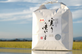 【投稿CP商品】玄米 5kg 「夢しずく」新米「実り咲かす」特別栽培米（農薬・化学肥料不使用）