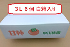 甘柿『 太秋柿 』甘くて美味しい  サイズ３Ｌ・６個・１.5kg以上 白小箱入り