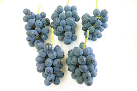 信州上田産　皮ごと食べられる！　ナガノパープル　1.5〜1.8キロ　加工用（小さい実やバラ房など）　ケーキの素材やスムージーの素材にいかがですか！