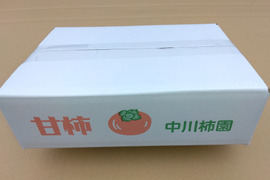 プライスダウン１割引　甘柿『輝太郎柿』甘くて美味しい 　サイズ４Ｌ・８個 ・２.45kg以上 白箱入り
