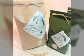 【特別なお米】☆白米☆農薬化学肥料不使用・天日干し乾燥のお米  5kg【壱 ~ICHI~】