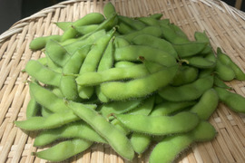 朝採れ直送！香りにもこだわった濃厚枝豆 300g×4p