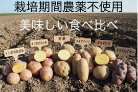 【食べ比べセット】絶品！希少品種込！新じゃがミックス　4種 4kg