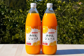 果汁100％　温州みかんジュース【1000ml×２本入り】