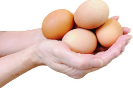 【平飼い赤鶏】産卵して24時間以内の朝採れたまご『規格外』超特価でお届けします。50個【不定期】