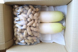 農薬不使用のミニ大根２本と乾燥生落花生250g　化学肥料も有機肥料も不使用です
