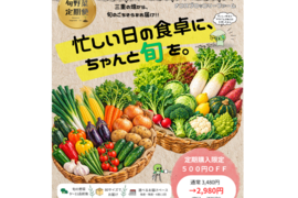 【予約販売】今が旬！！土づくりからこだわった《食味第一☆旬野菜セット(80サイズ)》