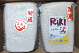 【新米】【米2品種】新潟産こがねもち（もち米）2Kgとコシヒカリ2Kg：もっちもちの艶艶新米！もち米と定番コシヒカリ白米の組み合わせ
