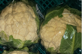 甘味があって、みずみずしい カリフラワー3株、春キャベツ