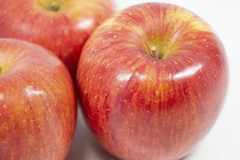 【毎年１万箱以上売れてます】約１０キロ 青森県産りんご「樹上完熟葉とらずふじ」通常用厳選品