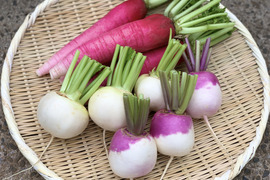 【旬の野菜セット】今が旬‼︎三浦市の特産品レディーサラダセット‼︎合計2kg！
