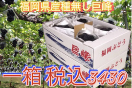 【先行予約受付中】種無し巨峰 8月04日〜