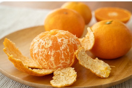 潮風たっぷりと太陽の光をたくさん浴びて育ちました。甘さと酸味のバランスが良い種類です。約4.5k入っています。どうぞご賞味ください。