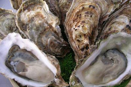 殻付き牡蠣(30個)