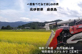 【令和7年・新米予約】♣️一度食べてみて欲しいお米　麻奈為🌾京都・京丹後峰山産　特別栽培米コシヒカリ3kg【玄米】