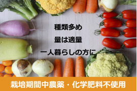 1名様向け野菜セット／旬の野菜5種