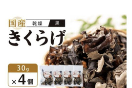 徳島県産乾燥きくらげ黒30g×4