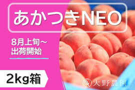 〈2026年先行予約〉【桃：あかつきNEO・2kg程度】あかつきを越える進化系品種※希少品種