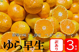 果汁たっぷり、この味衝撃！　ゆら早生　由良　【訳あり　３kg】