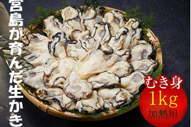 （加熱用）宮島が育んだ生牡蠣むき身（１kg入り）