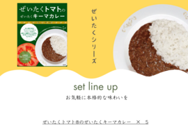 『ぜいたくトマト®のぜいたくキーマカレー』180g×5個セット