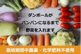 2〜4名様向け野菜セット／野菜6種に加工品をプラス