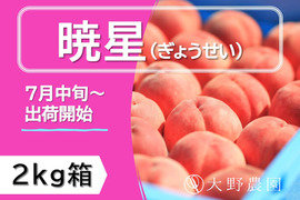 ＜2023先行予約＞【暁星・2kg箱】甘みが強くてコクのある小玉品種